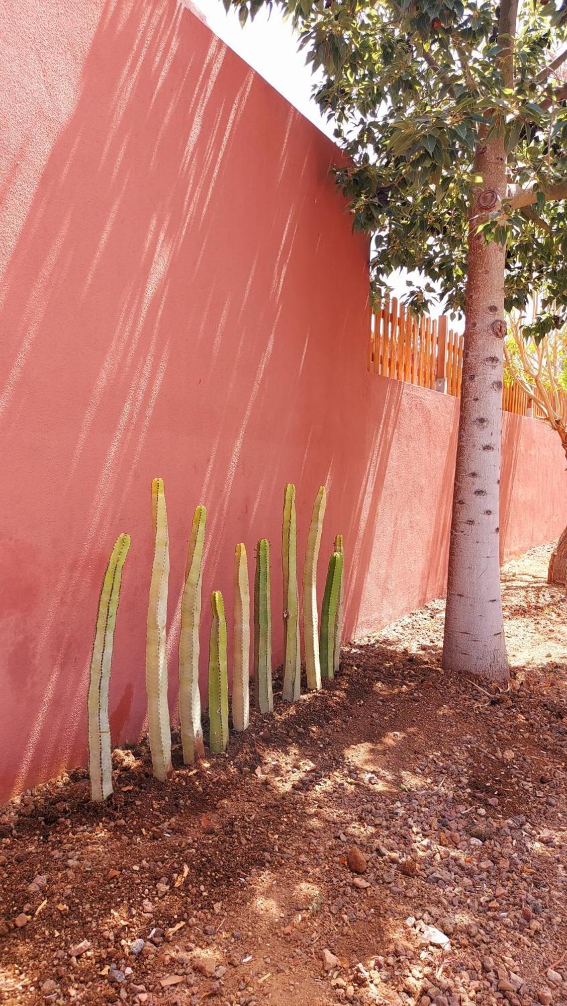 Adosado La Tabaiba Villa San Miguel de Abona Exterior foto